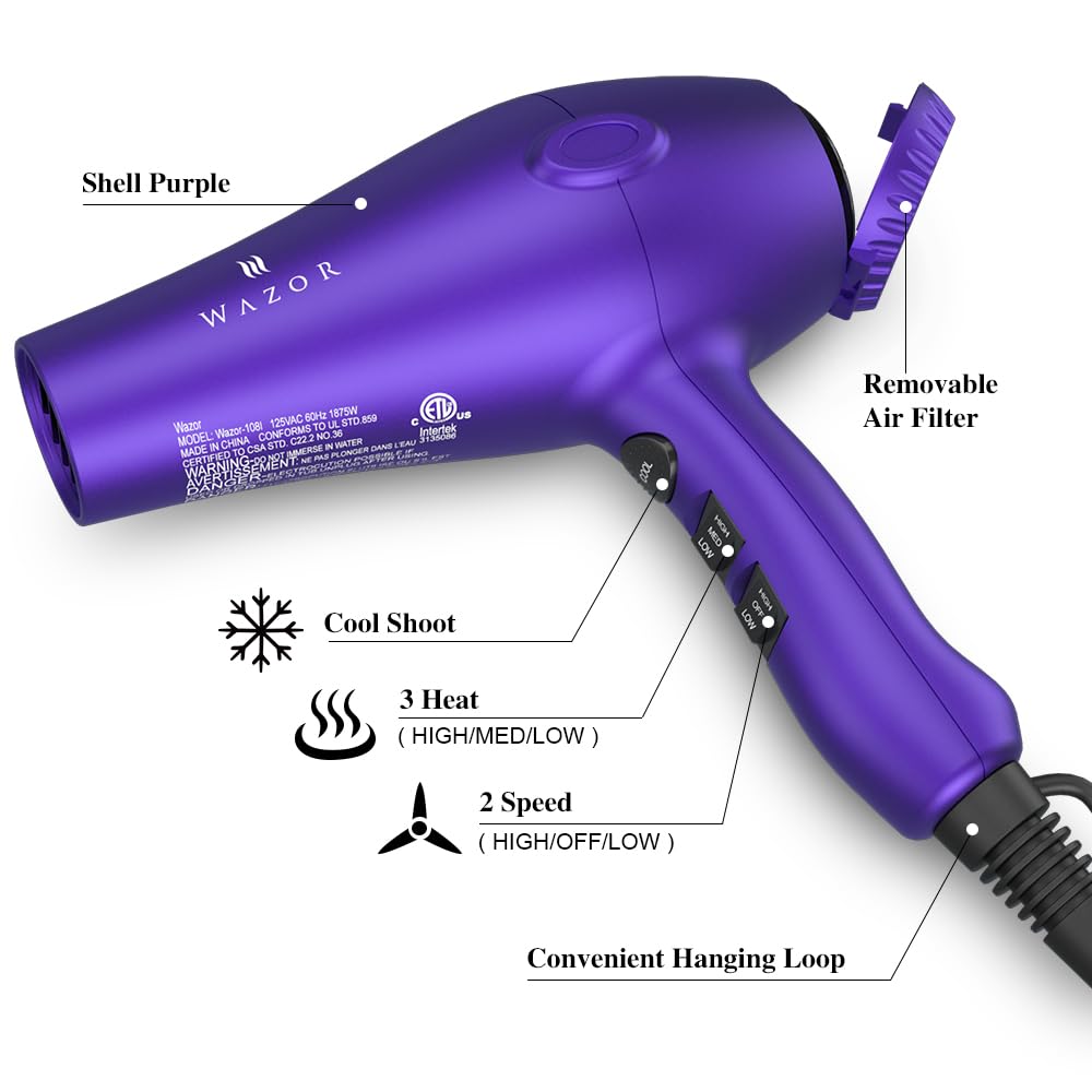 1875W Ionic Blow Dryer with Diffuser C5083