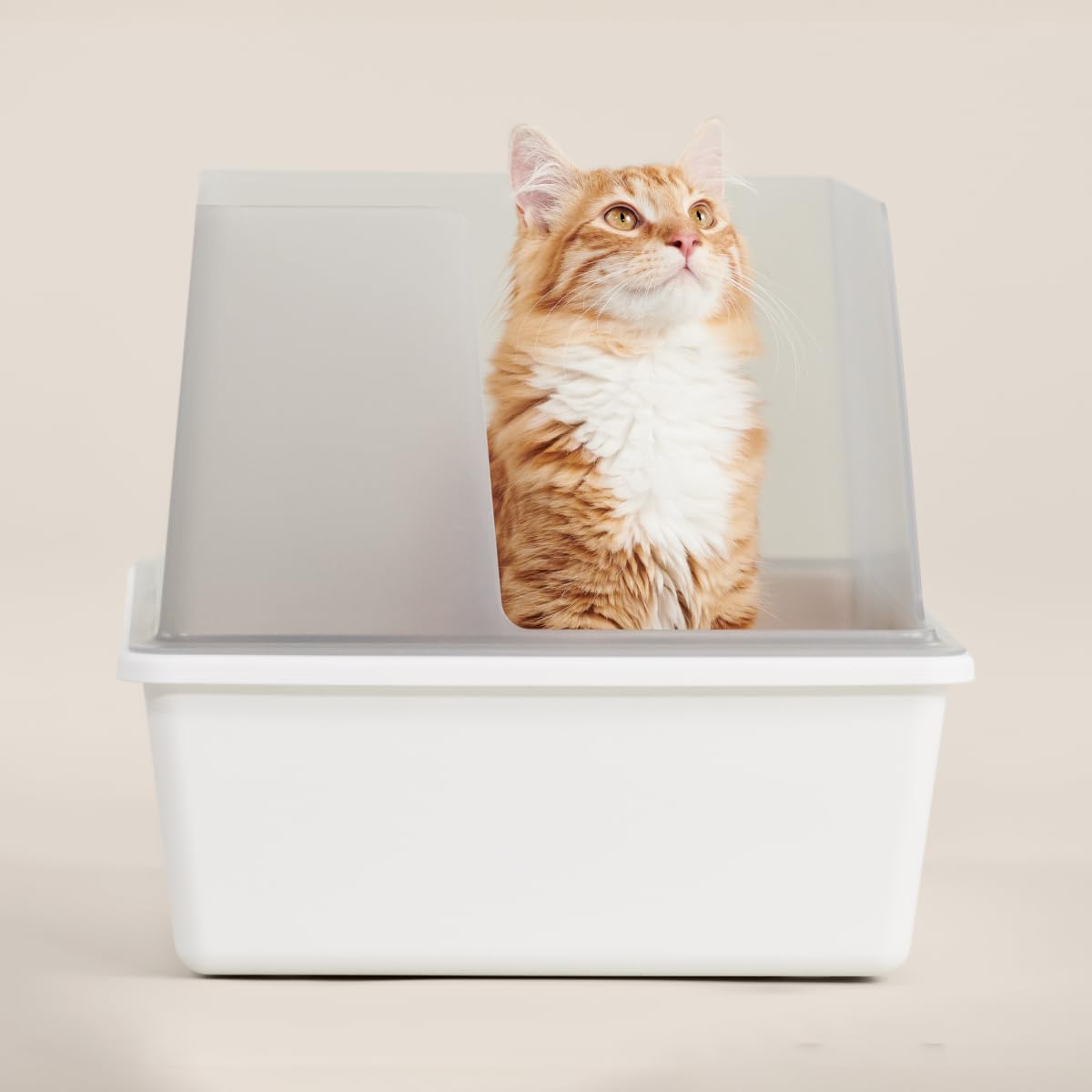 High Sided Cat Litter Box Open Top Anti-Stick Plastic White/Gray F244899