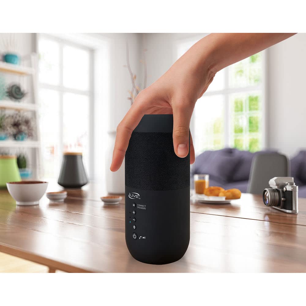 Black Waterproof Indoor and Outdoor Speakers, 2 Count V49215
