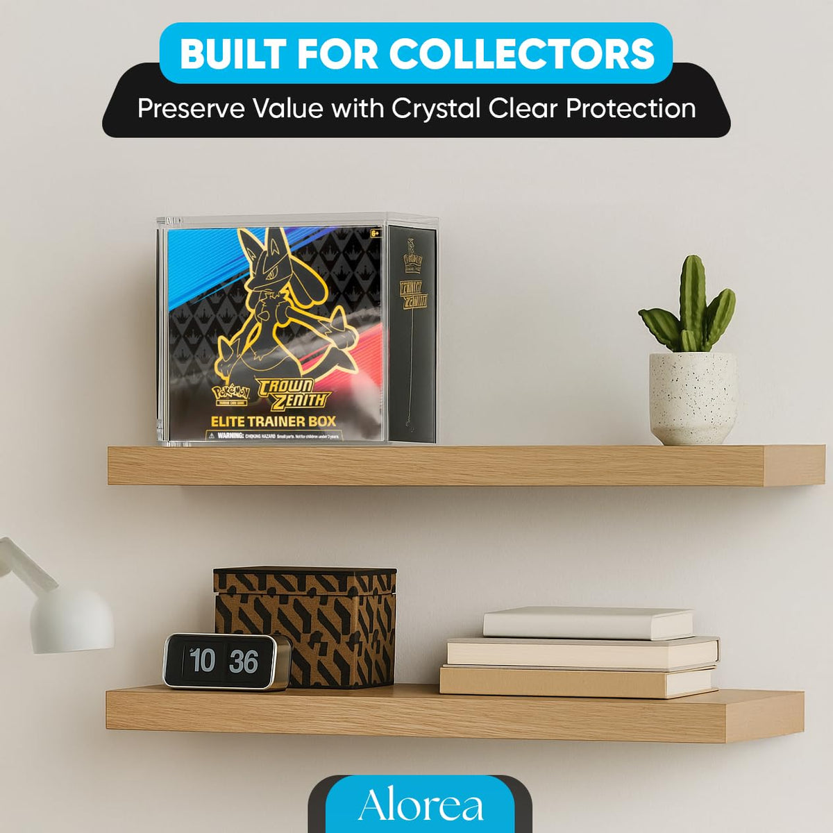 Acrylic Display Case with Magnetic Lid R800