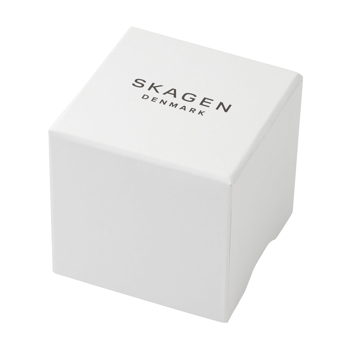 Stainless Steel Watch S4991