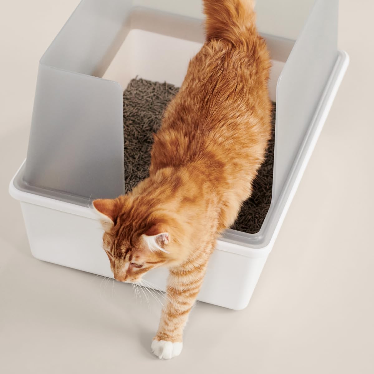 High Sided Cat Litter Box Open Top Anti-Stick Plastic White/Gray F244899