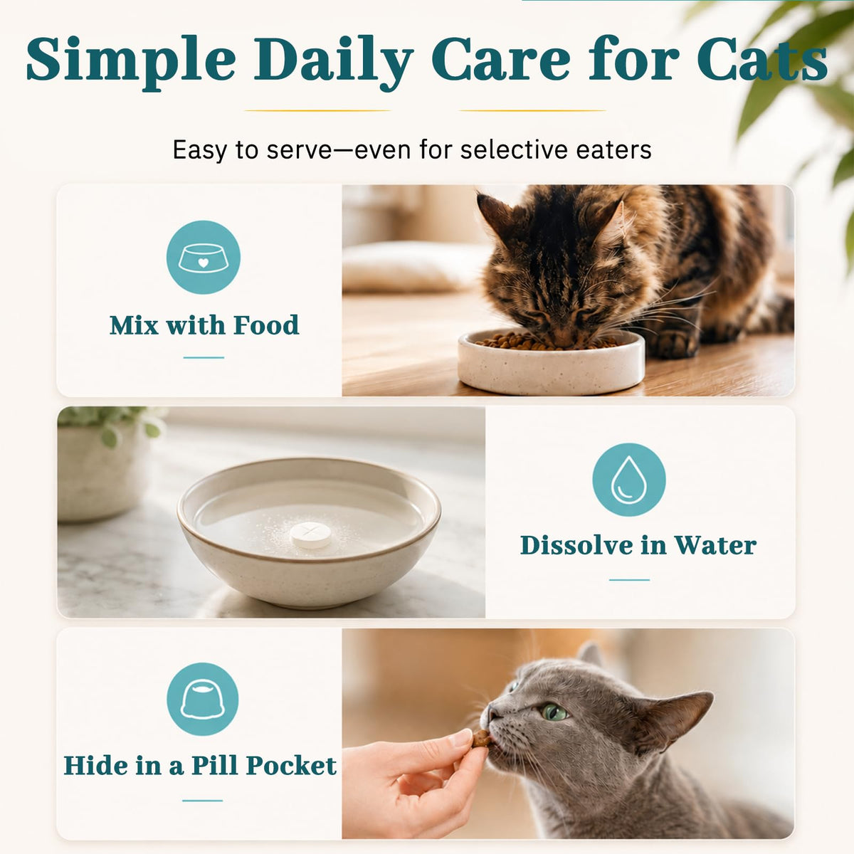 Cat Dental Care Oral Health O338989
