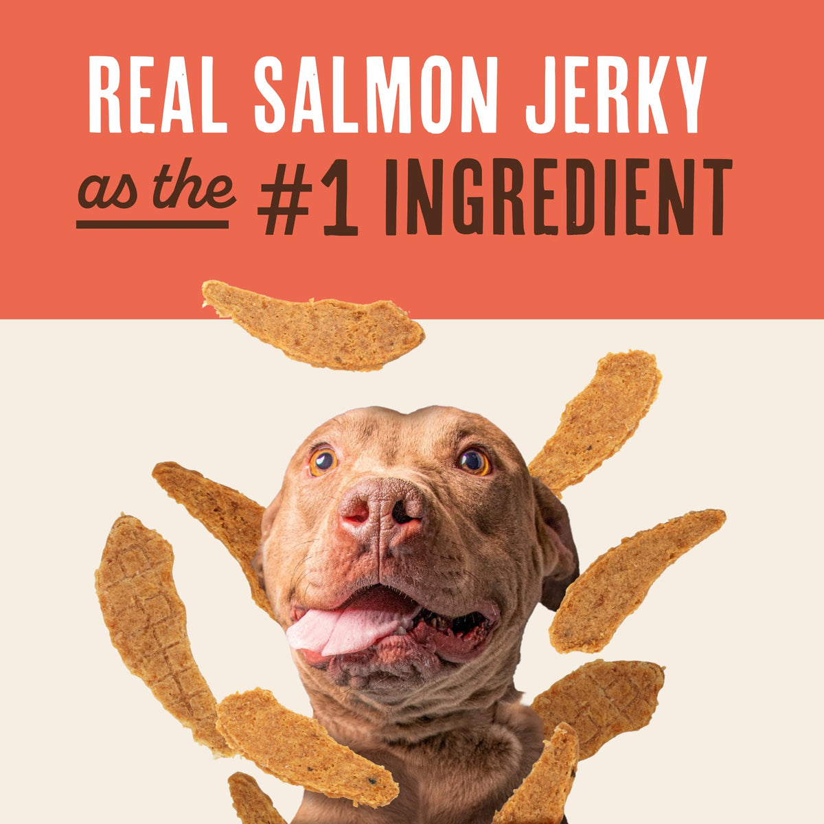 Salmon Jerky Dog Treats 12 oz B8496