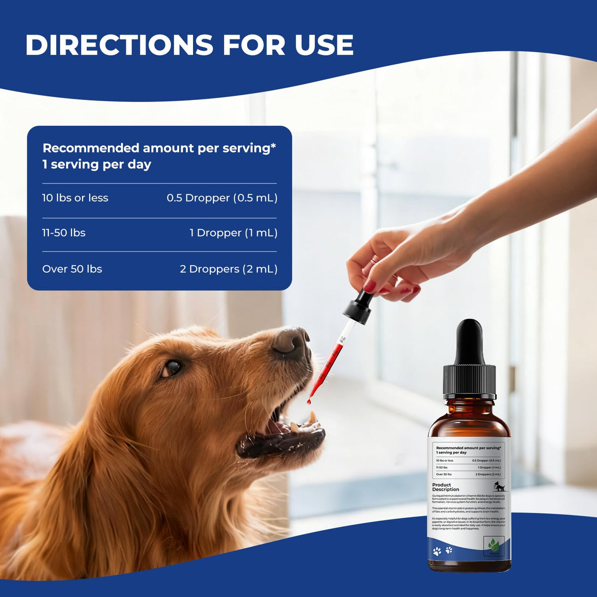 Liquid Vitamin B12 & Methylcobalamin Drops H904704
