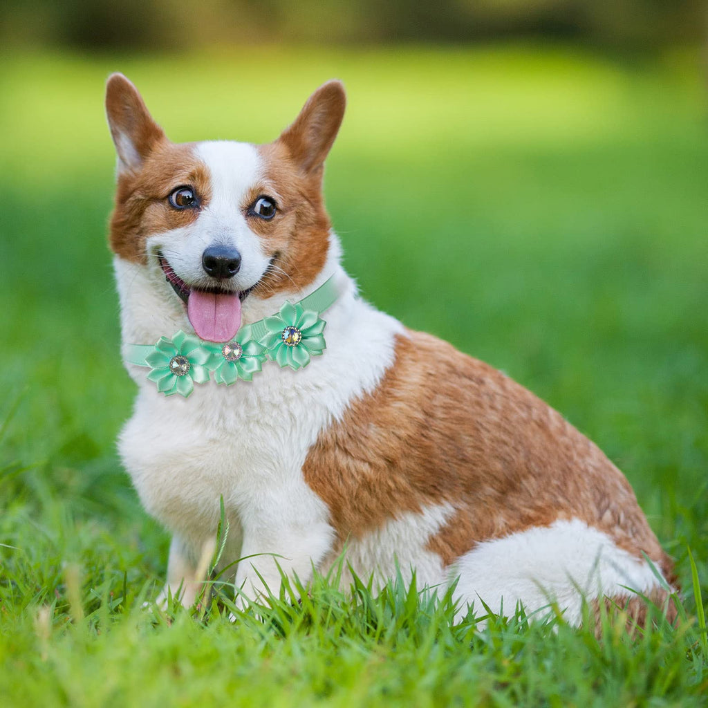 80 Pcs Dog Bowtie Flower Collar Adjustable P4029