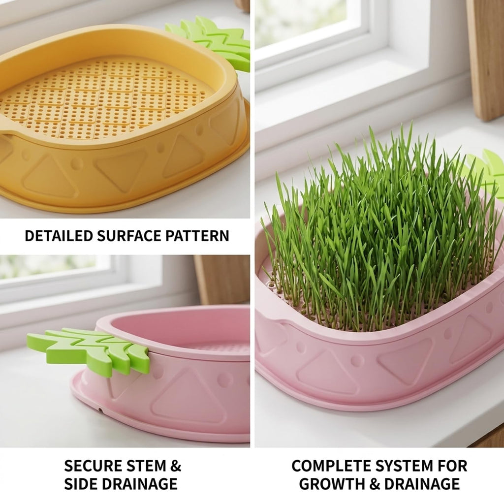 2 Pack Hydroponic Cat Grass Planter K9462