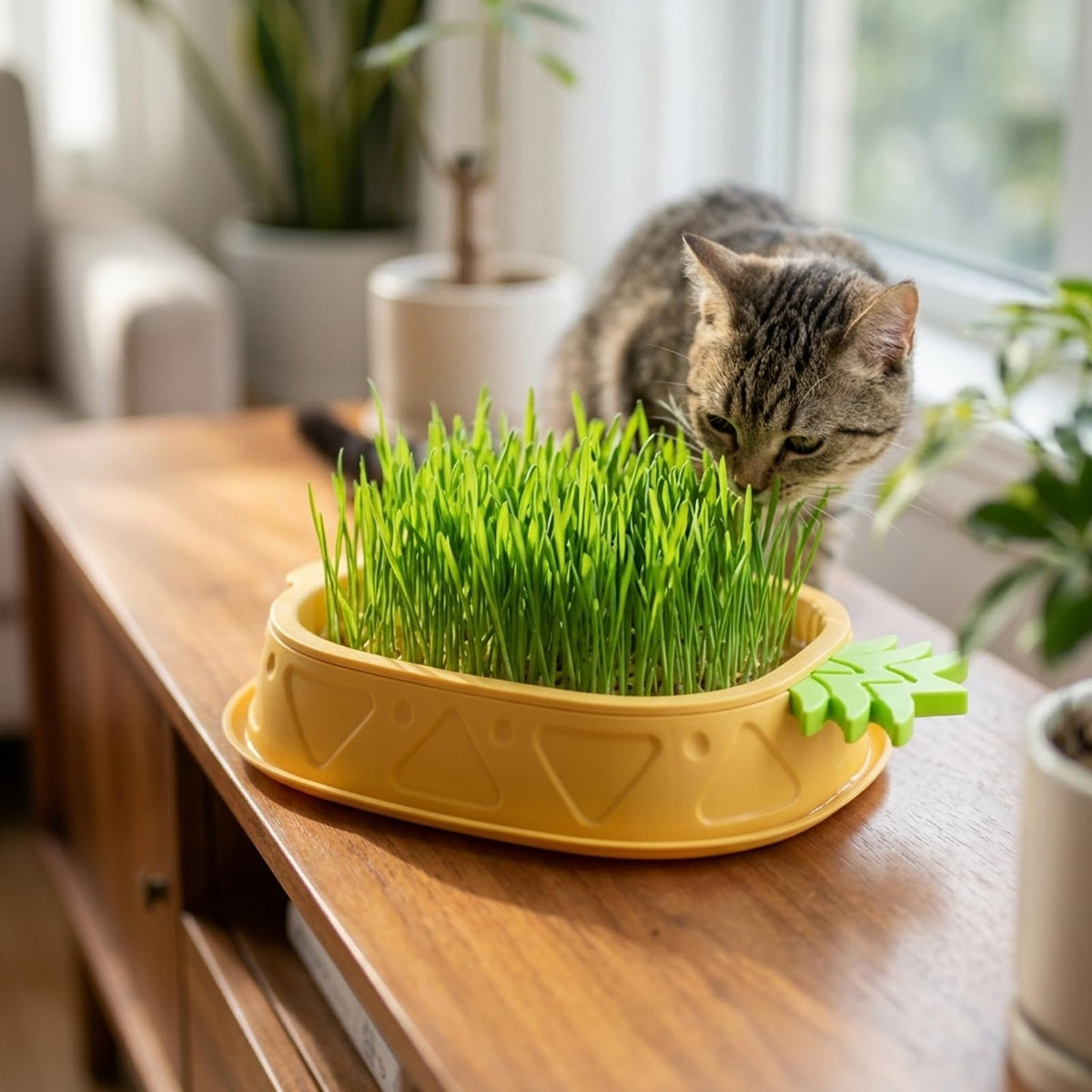 2 Pack Hydroponic Cat Grass Planter K9462