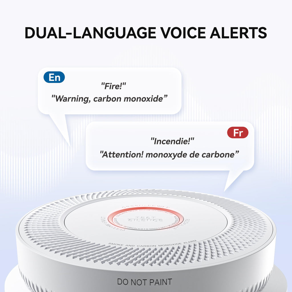 Smoke and Carbon Monoxide Detector D19607