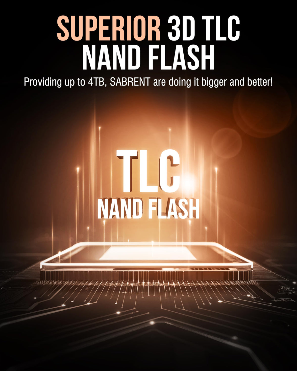 4TB NVMe SSD PCIe 4.0 M.2 L6558