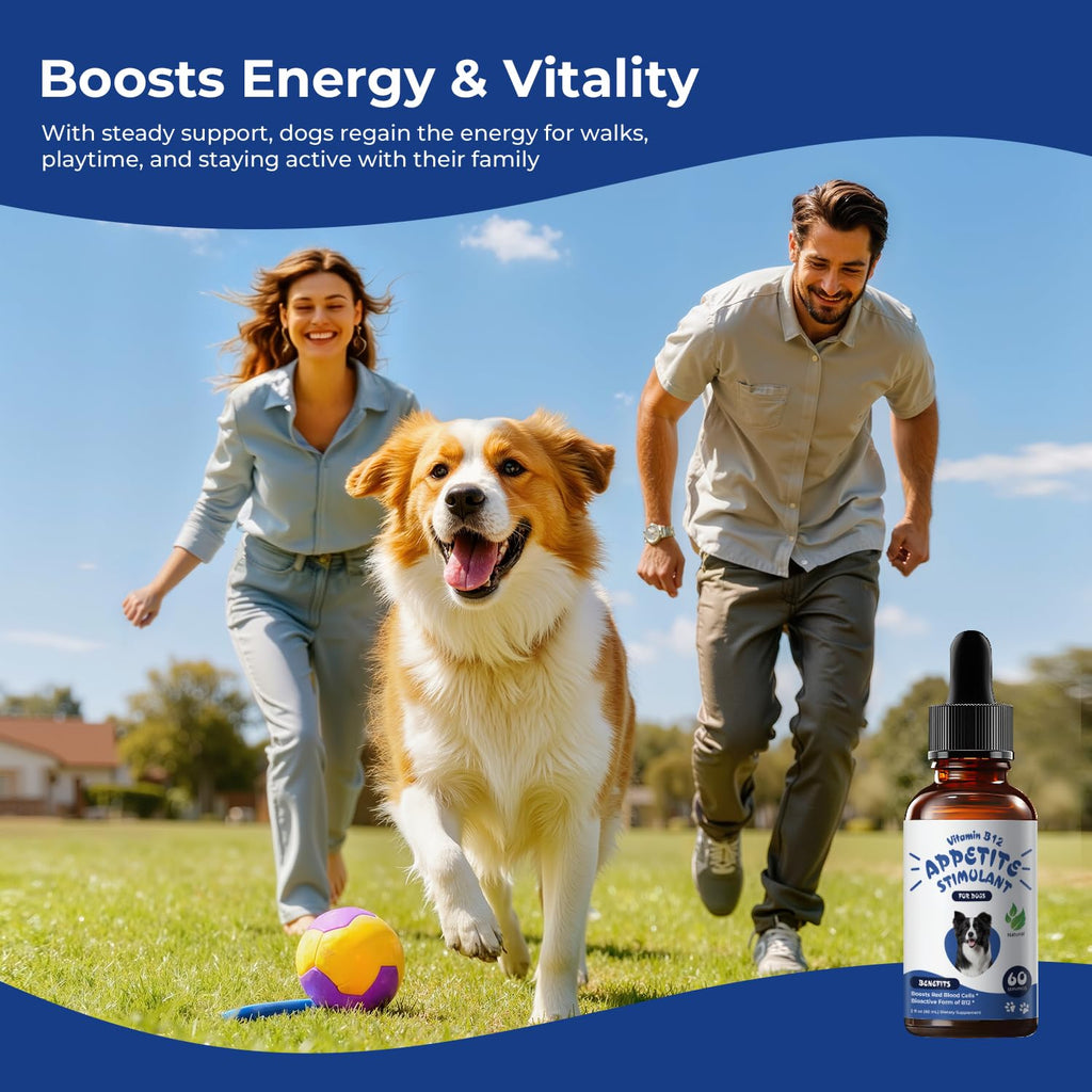 Liquid Vitamin B12 & Methylcobalamin Drops H904704