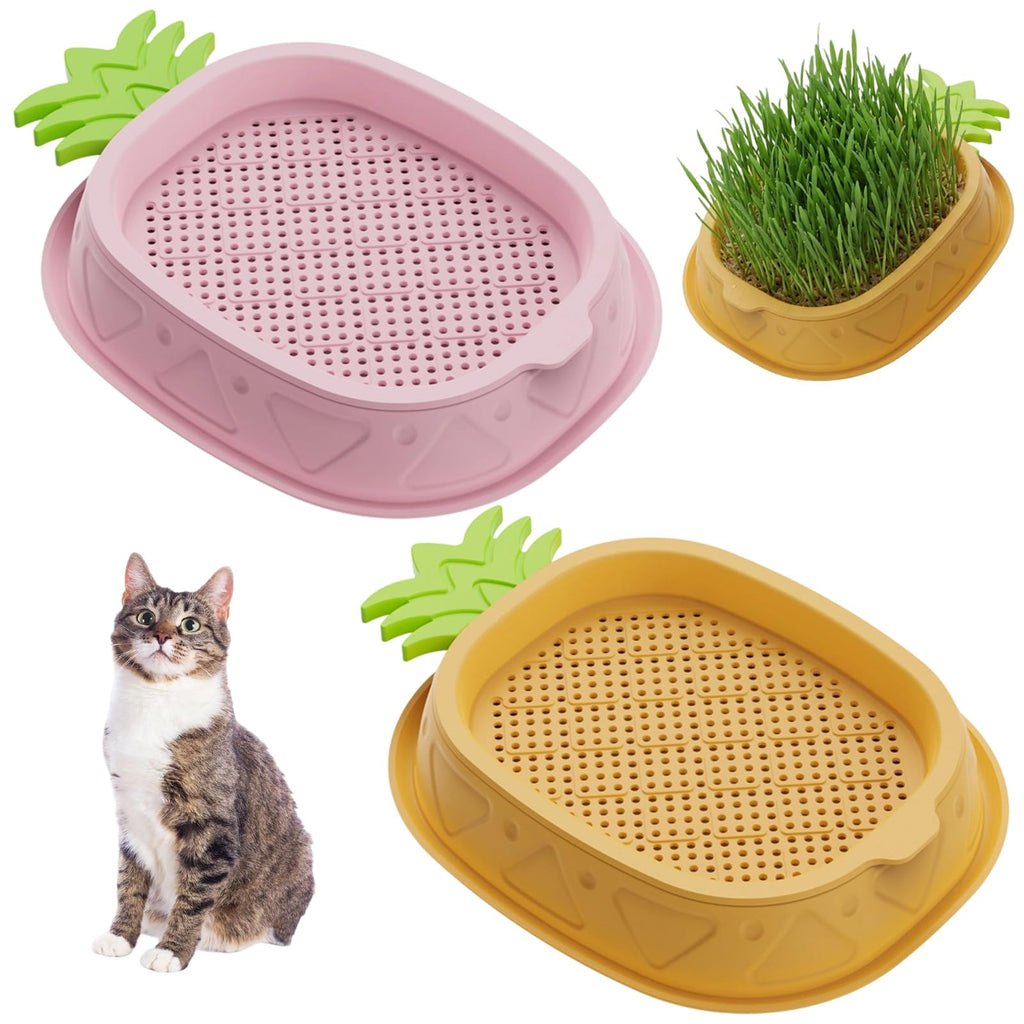 2 Pack Hydroponic Cat Grass Planter K9462