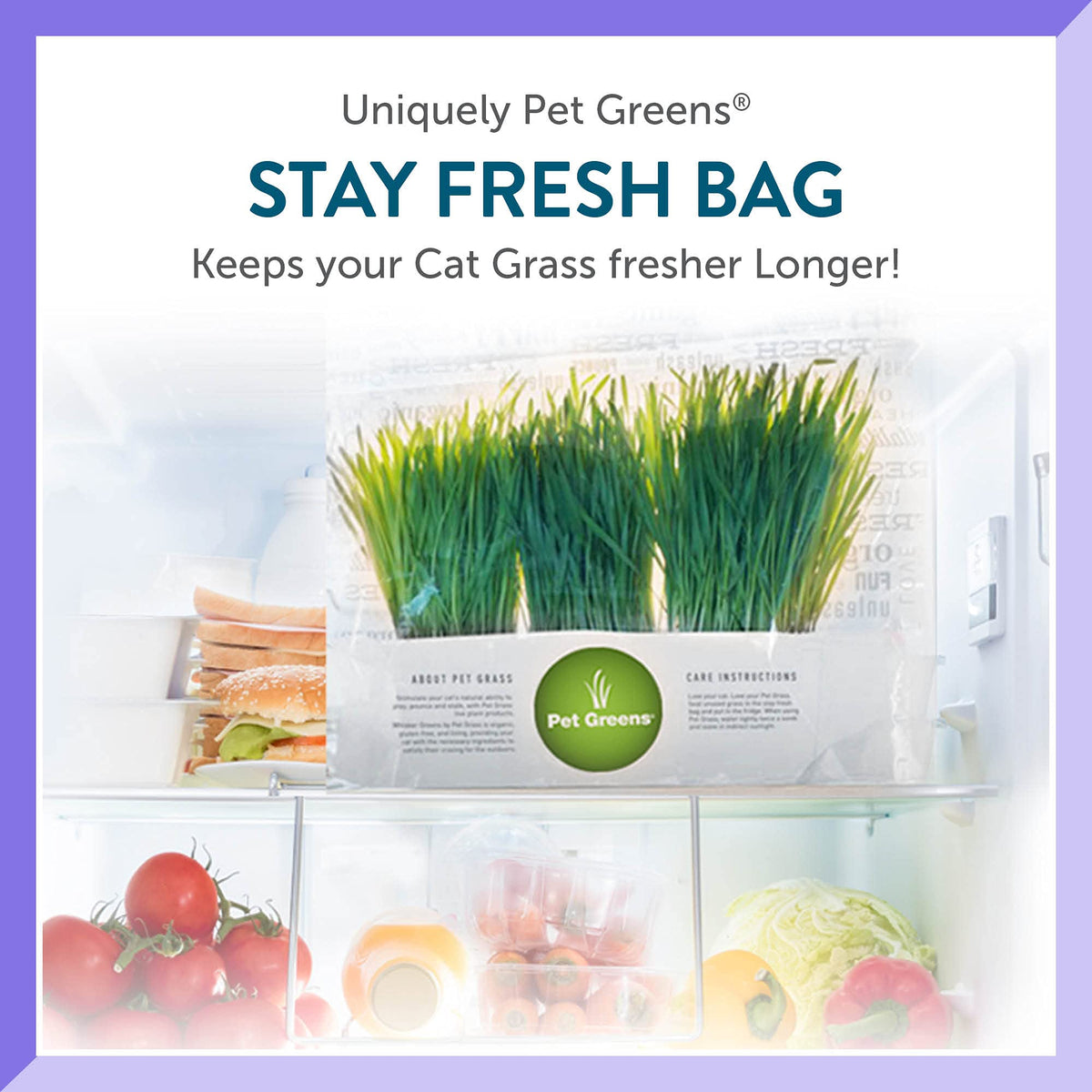 Organic Cat Grass Plant with Stand 3 Pack J673