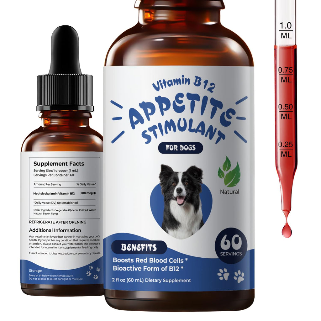 Liquid Vitamin B12 & Methylcobalamin Drops H904704