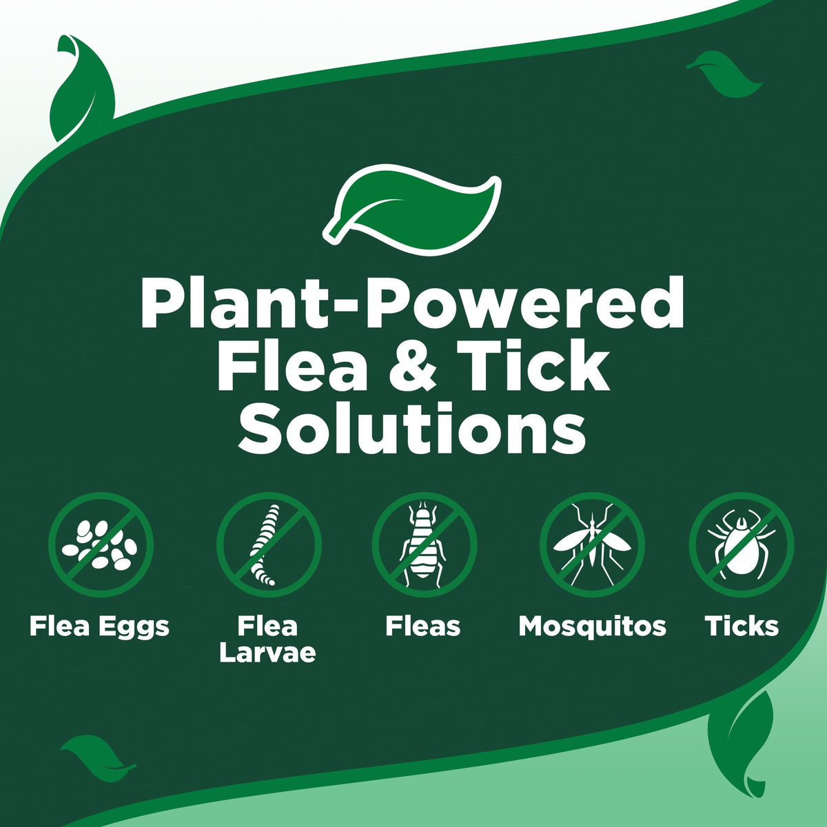 Plant-Based Flea & Tick Wipes 50 Count Y18936