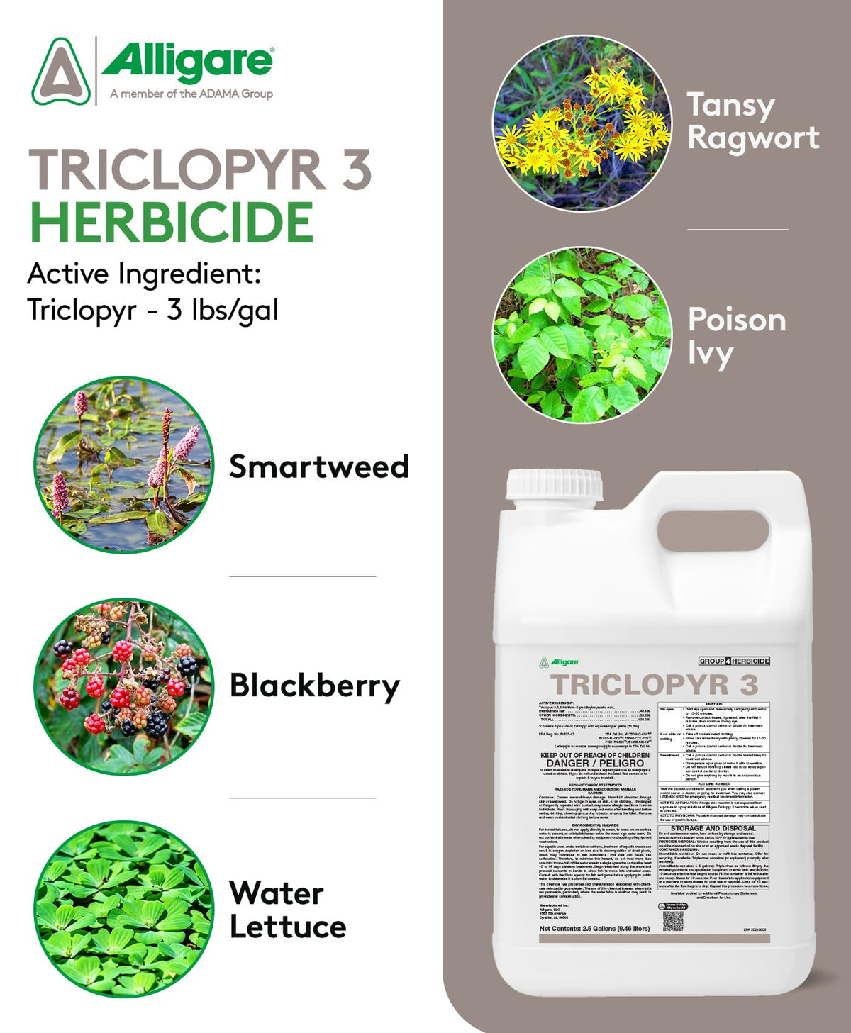 Triclopyr 3 Herbicide 2.5 Gal Y69107