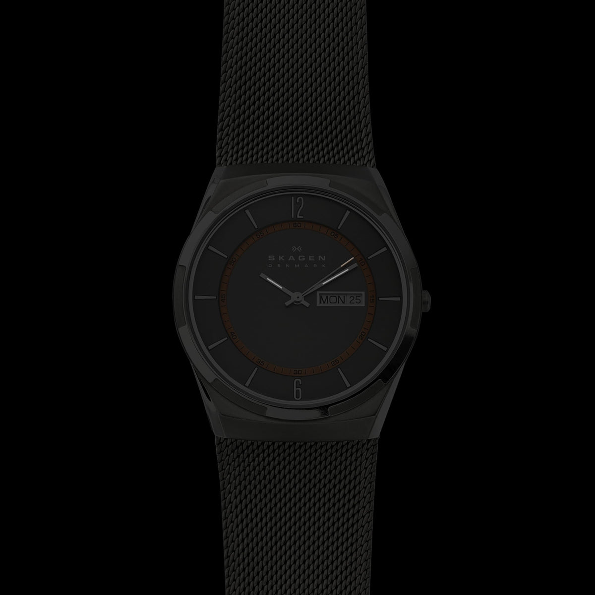 Stainless Steel Watch S4991