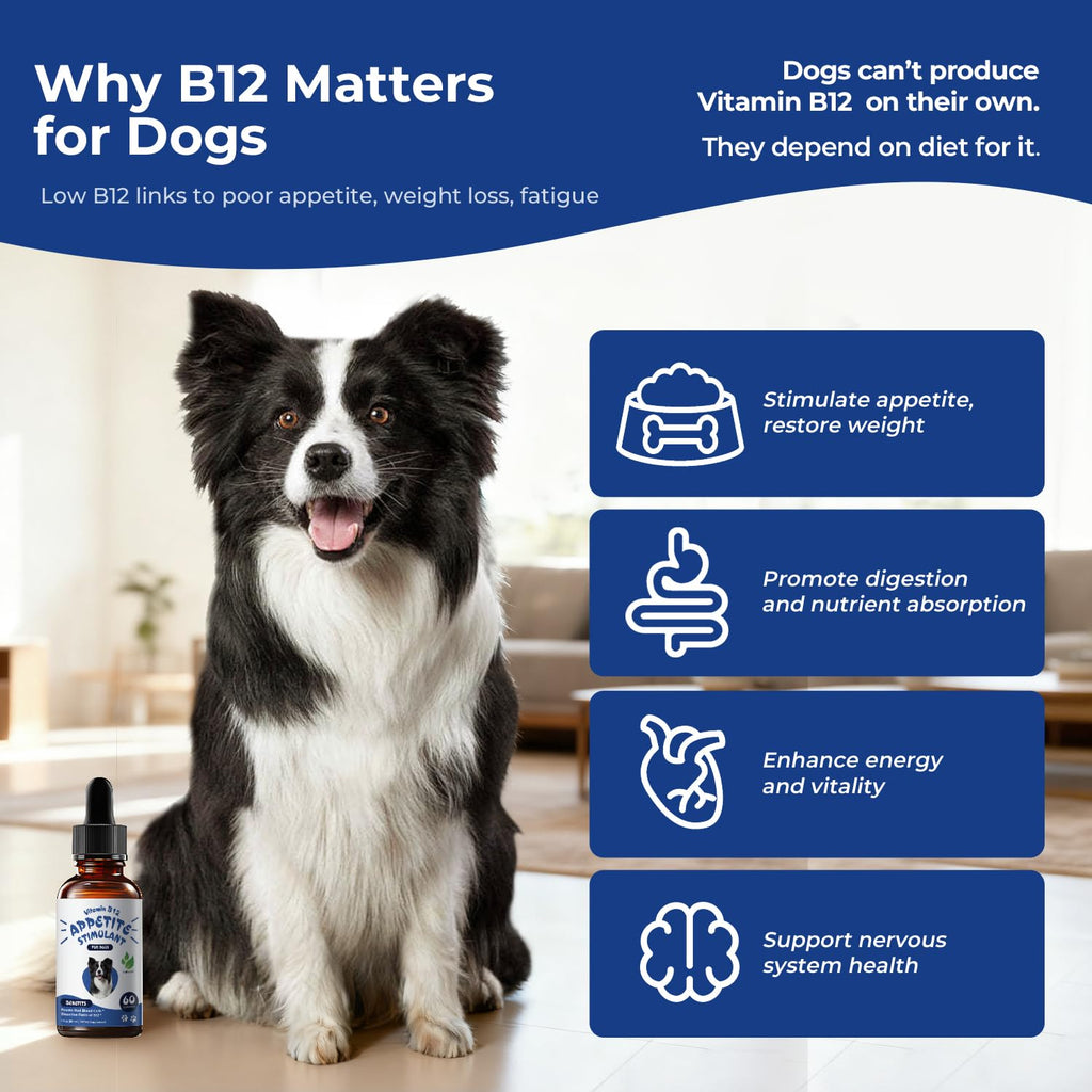 Liquid Vitamin B12 & Methylcobalamin Drops H904704
