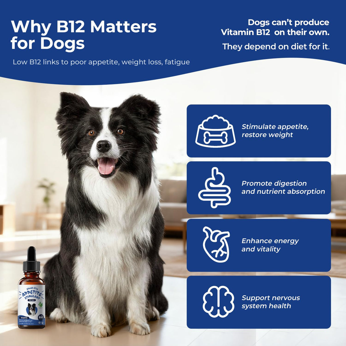 Liquid Vitamin B12 & Methylcobalamin Drops H904704