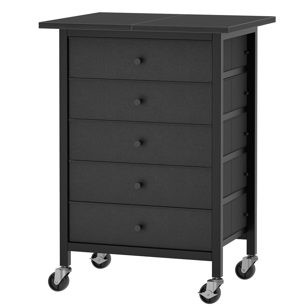 Black 5 Drawer Rolling File Cabinet with Wheels H2370
