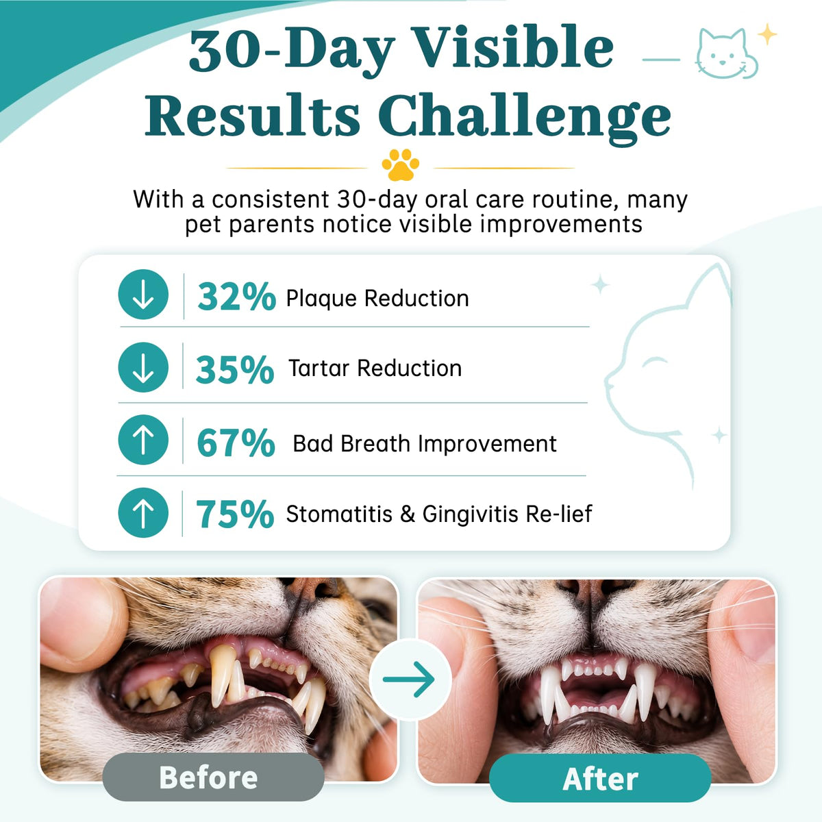 Cat Dental Care Oral Health O338989