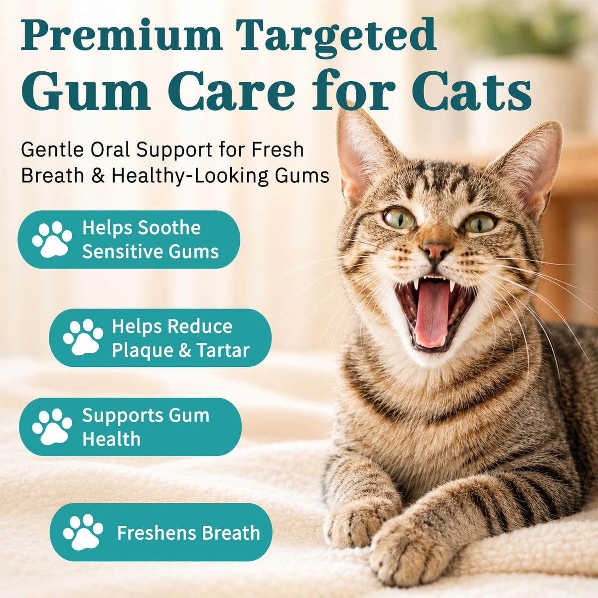 Cat Dental Care Oral Health O338989