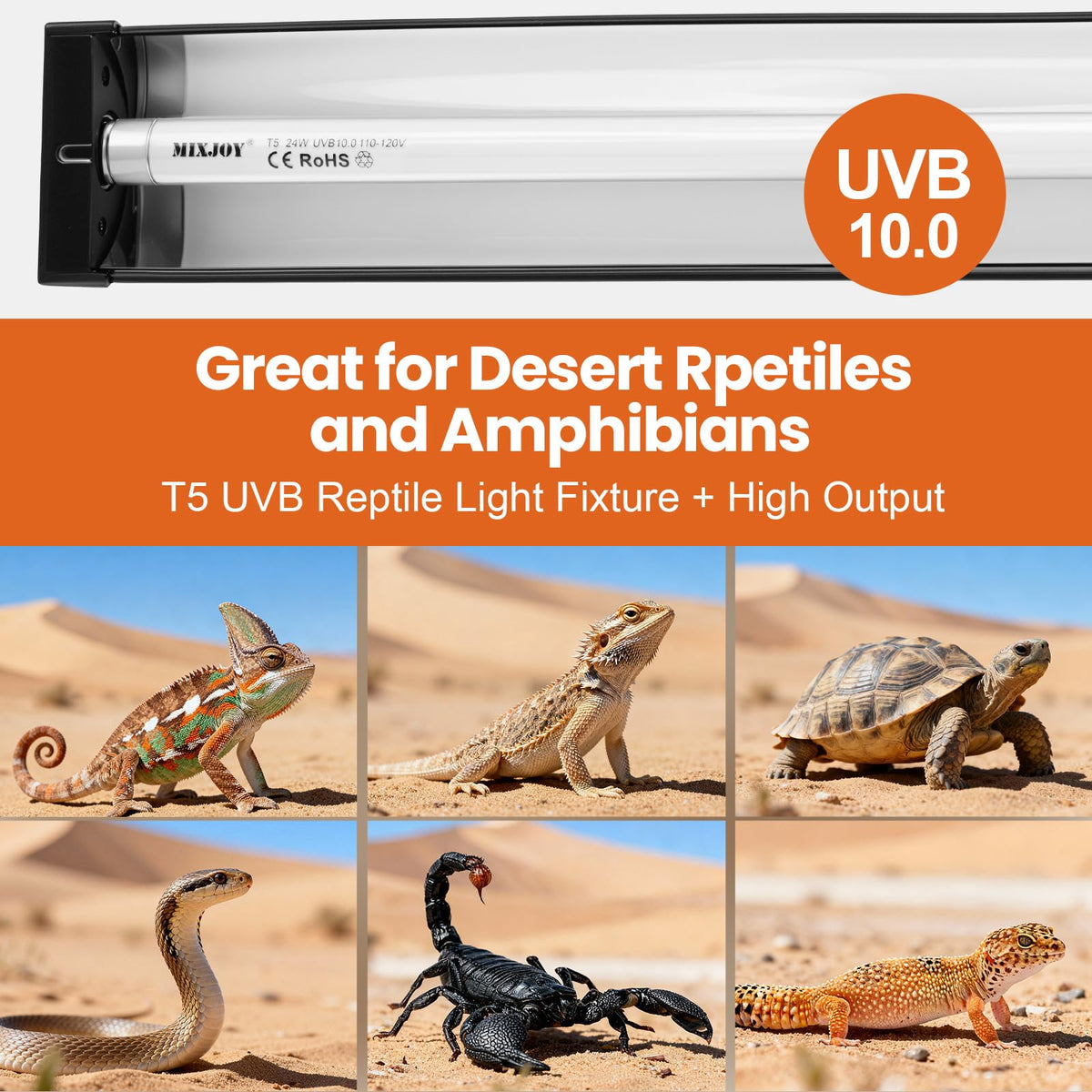 24W 10.0 UVB Reptile Light Kit Q645304