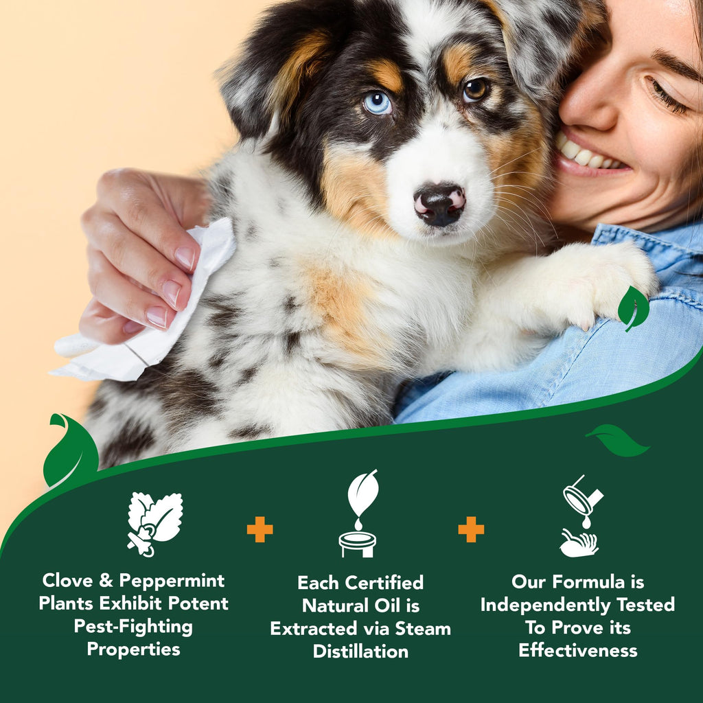 Plant-Based Flea & Tick Wipes 50 Count Y18936