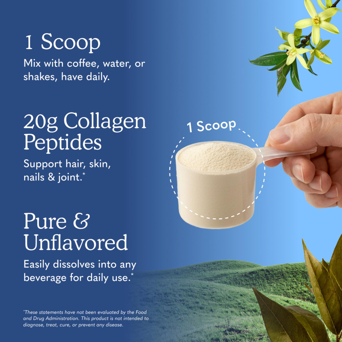 Collagen Powder Unflavored 28 Servings B401335