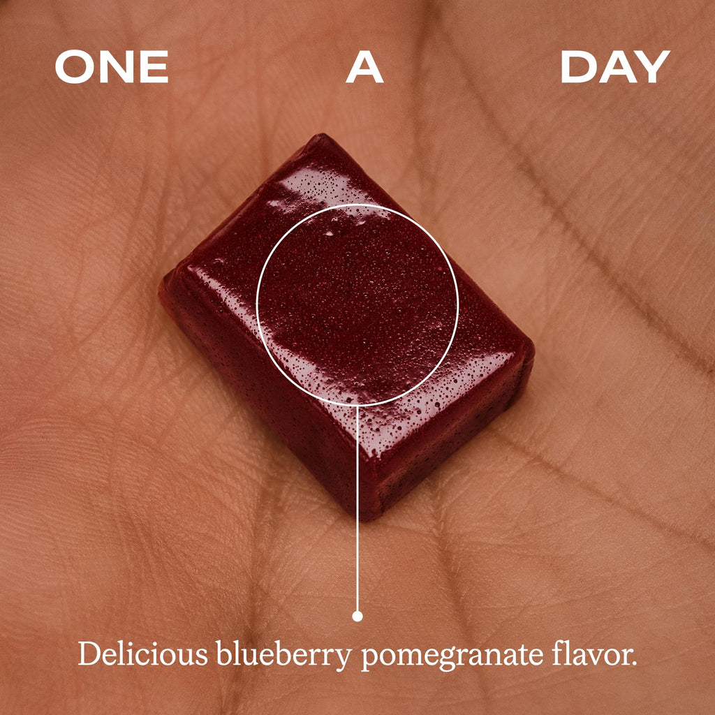 Blueberry Pomegranate Flavor 30 Ct Chews B2547