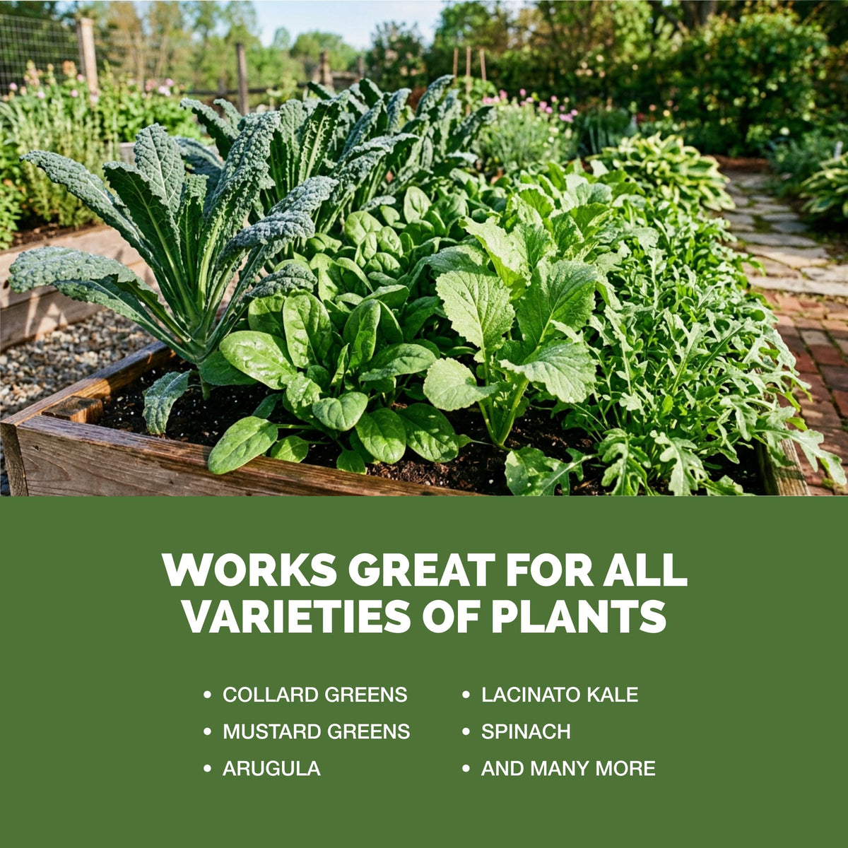 Liquid Nitrogen Plant Food 32 oz G42832