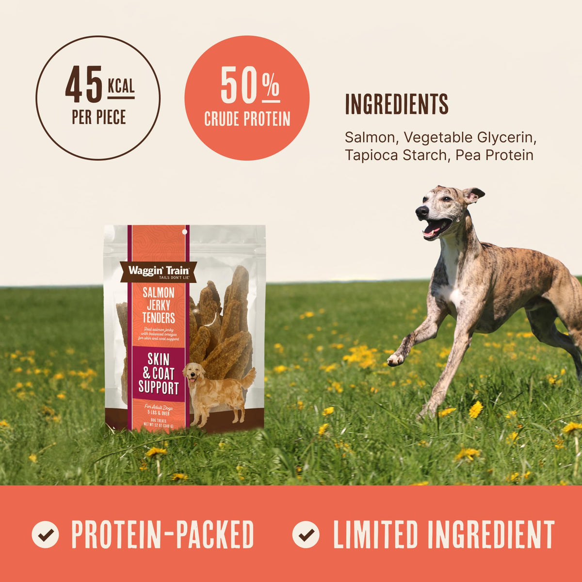 Salmon Jerky Dog Treats 12 oz B8496