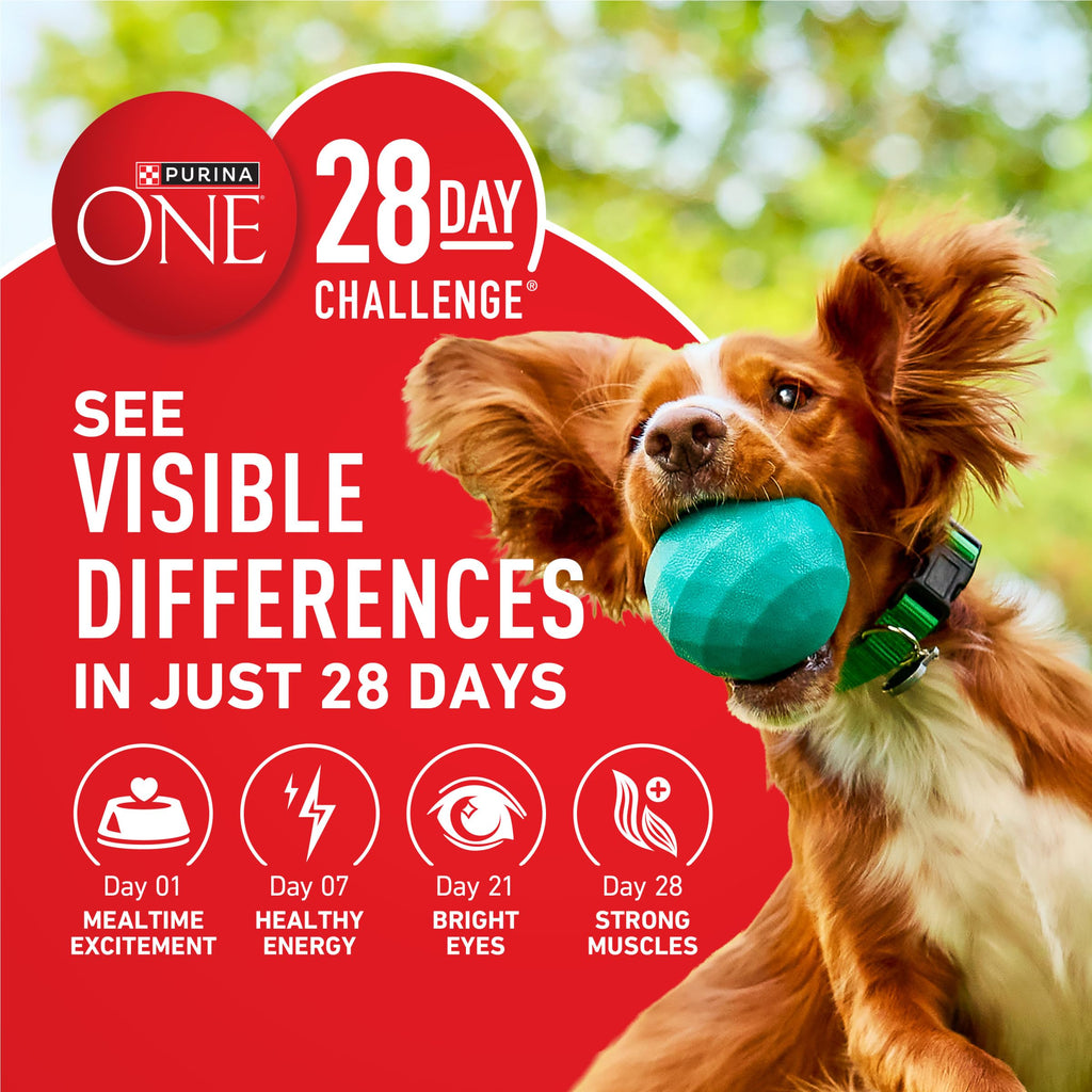 Lamb and Rice Formula Dry Dog Food H179
