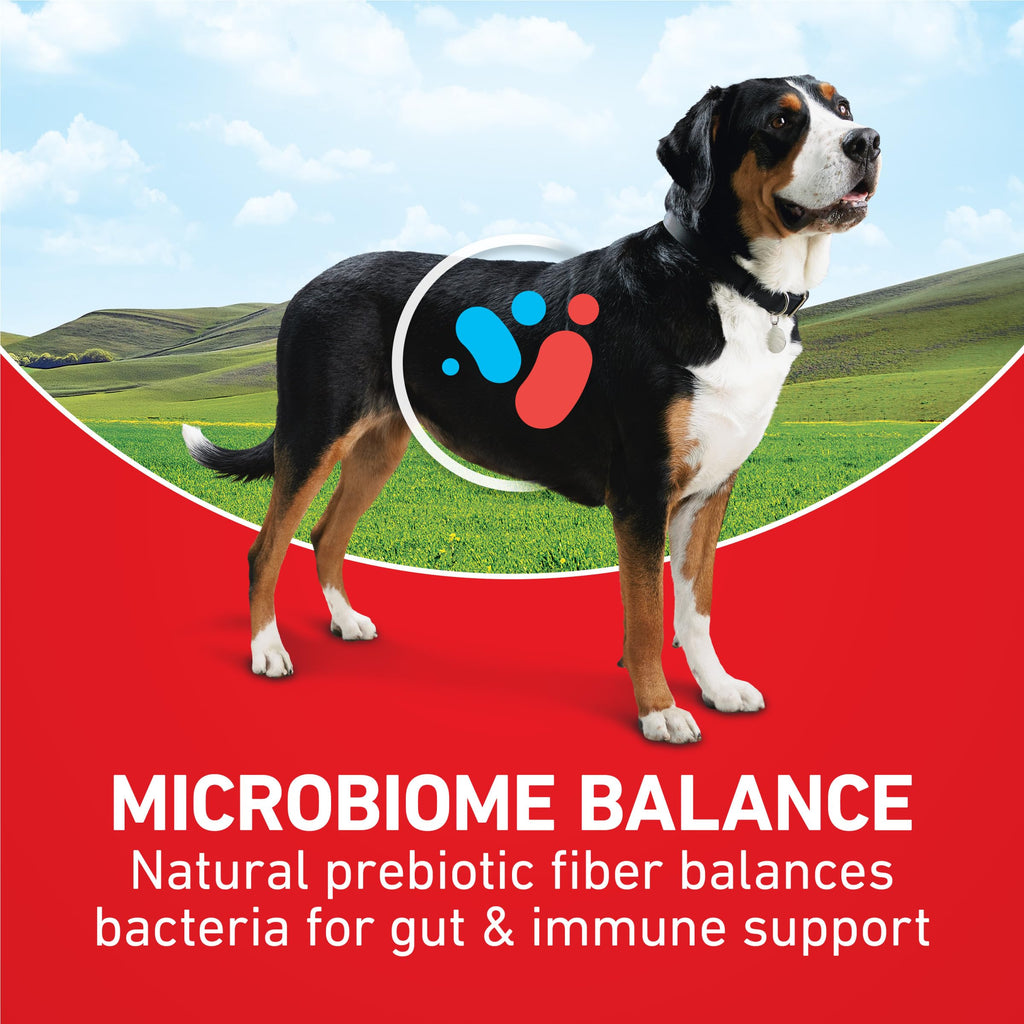 Lamb and Rice Formula Dry Dog Food H179