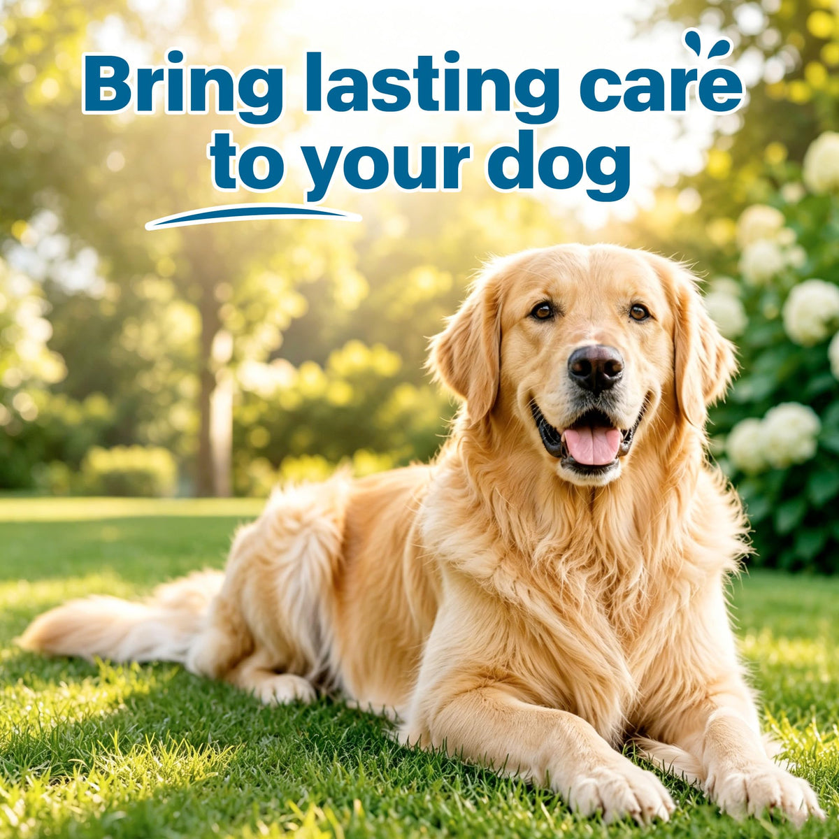Flea and Tick Prevention for Medium Dogs 23-44 lbs 6 Doses X7420