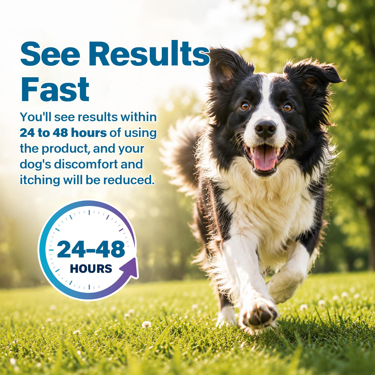 Flea and Tick Prevention for Medium Dogs 23-44 lbs 6 Doses X7420