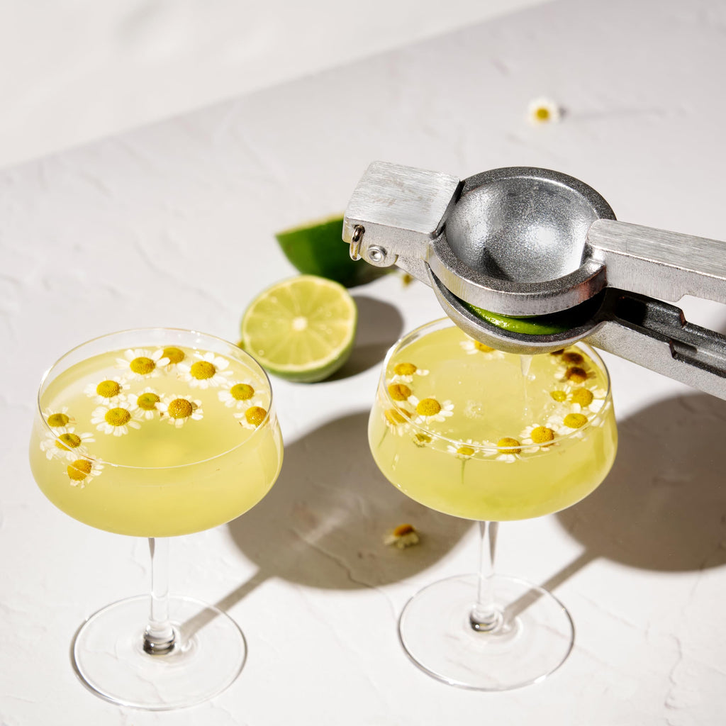 Crystal Coupe Cocktail Glasses Set of 4 M132