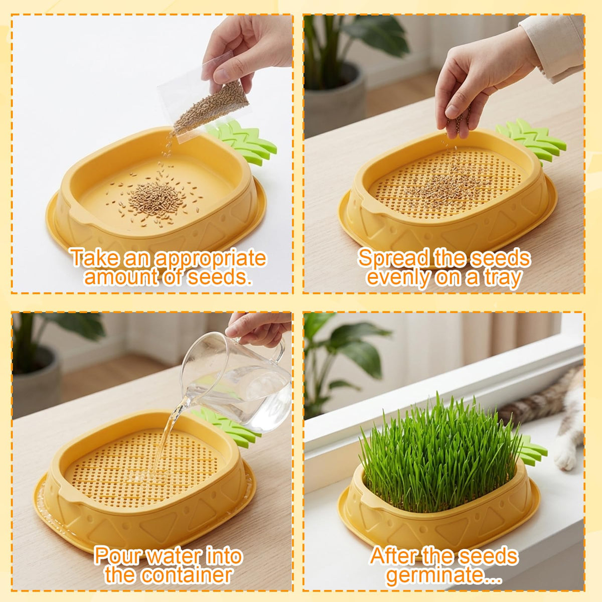 2 Pack Hydroponic Cat Grass Planter K9462