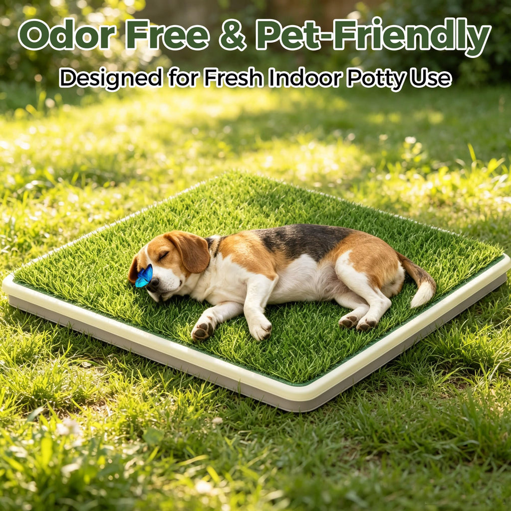 Dog Grass Pad with Tray, 2 Washable Grass Pads L8816
