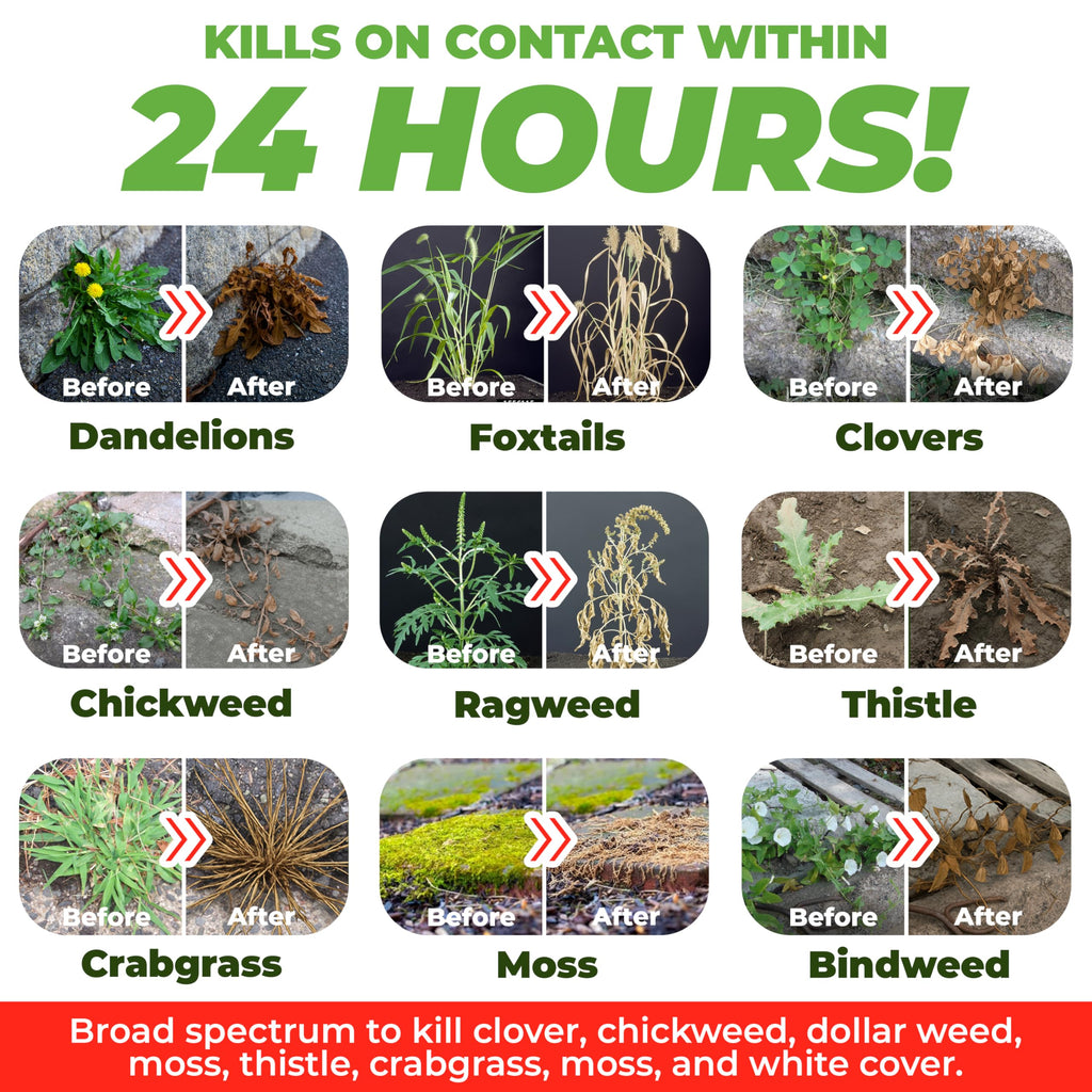 Organic Vinegar Weed Killer Spray Ready Herbicide 1 Gallon T486269