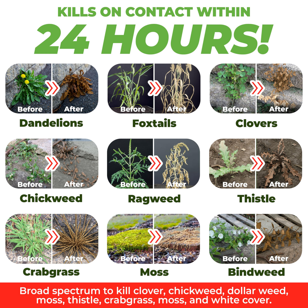 Organic Vinegar Weed Killer Spray Ready Herbicide 1 Gallon T486269